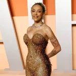 Doja Cat Fires Back at Tour Critics_