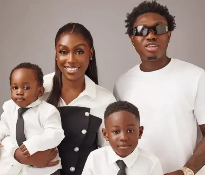 Zlatan Warns Blogger Over False Claims About His Family