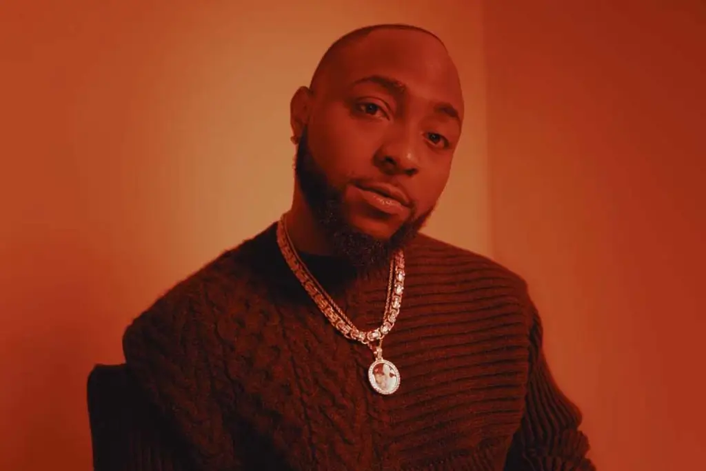 Davido Performs at Sold-Out Vienna Concert