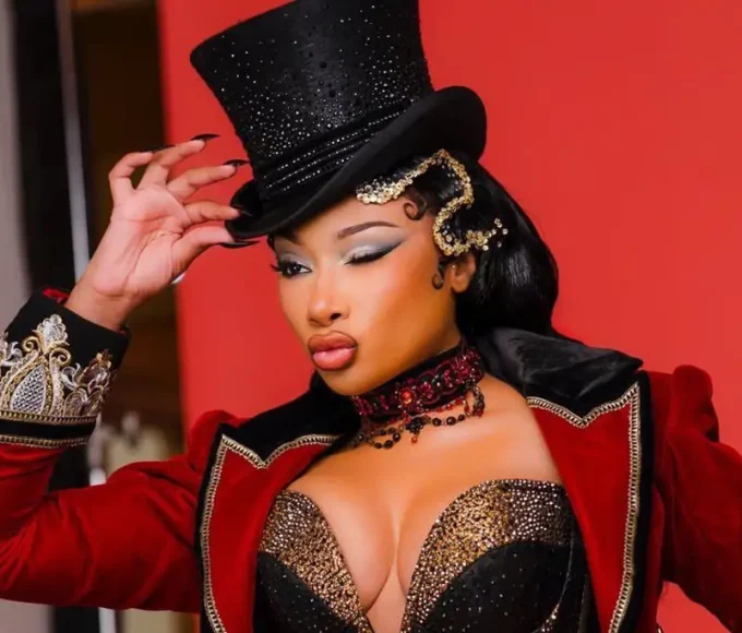 Megan Thee Stallion Speaks Out After Health Scare